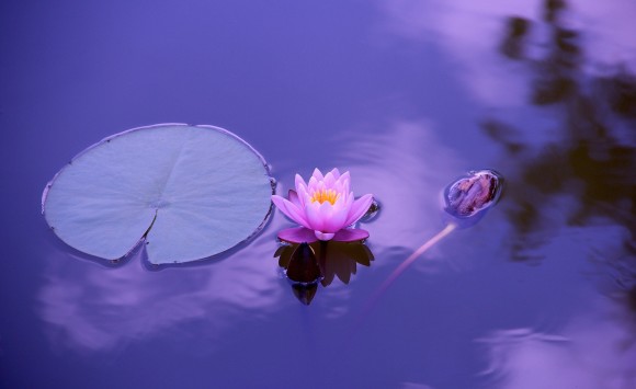 Stressbalance, Achtsamkeit & Meditation in herausfordernden Zeiten